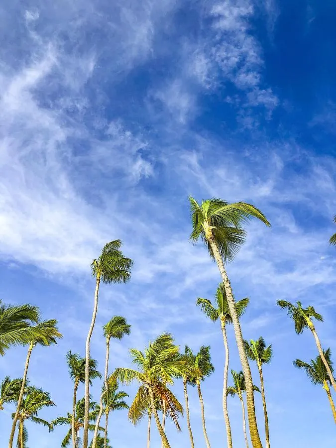 Tropical Villas Deluxe Beach & Spa Punta Cana